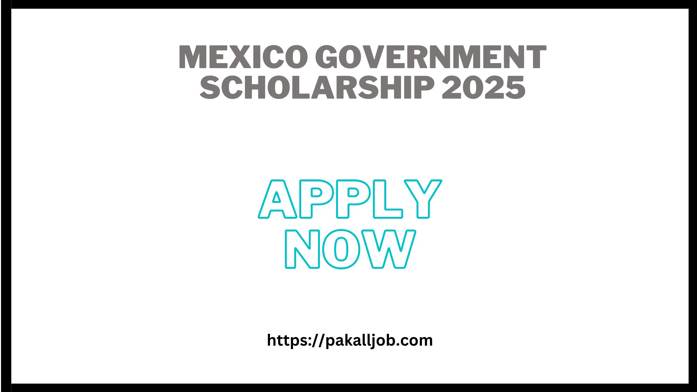 Mexico Government Scholarship 2025