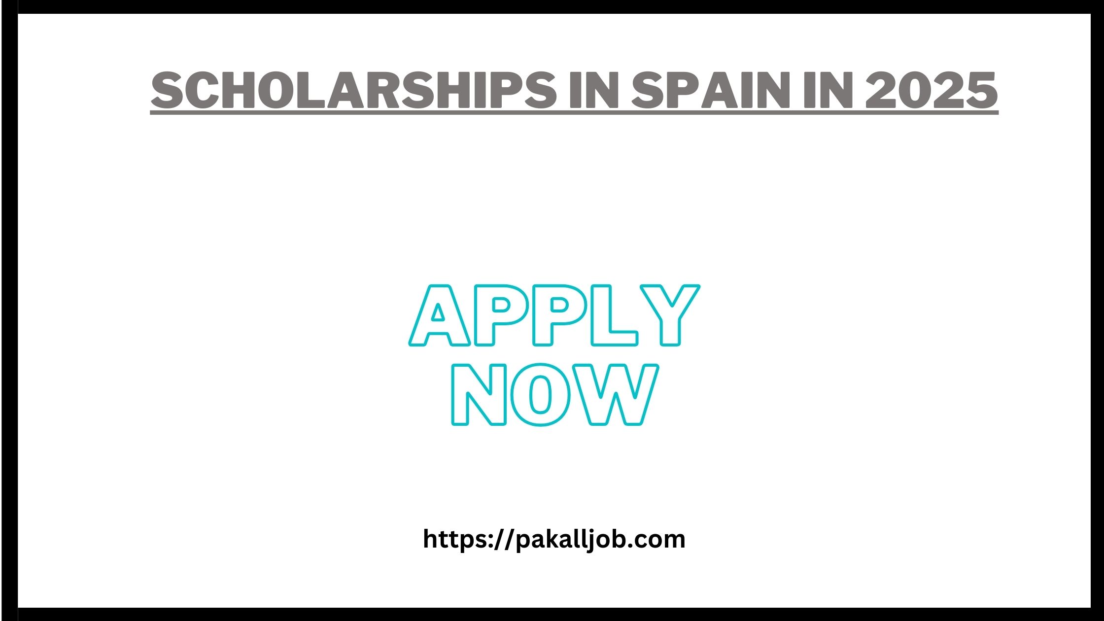 Scholarships In Spain In 2025