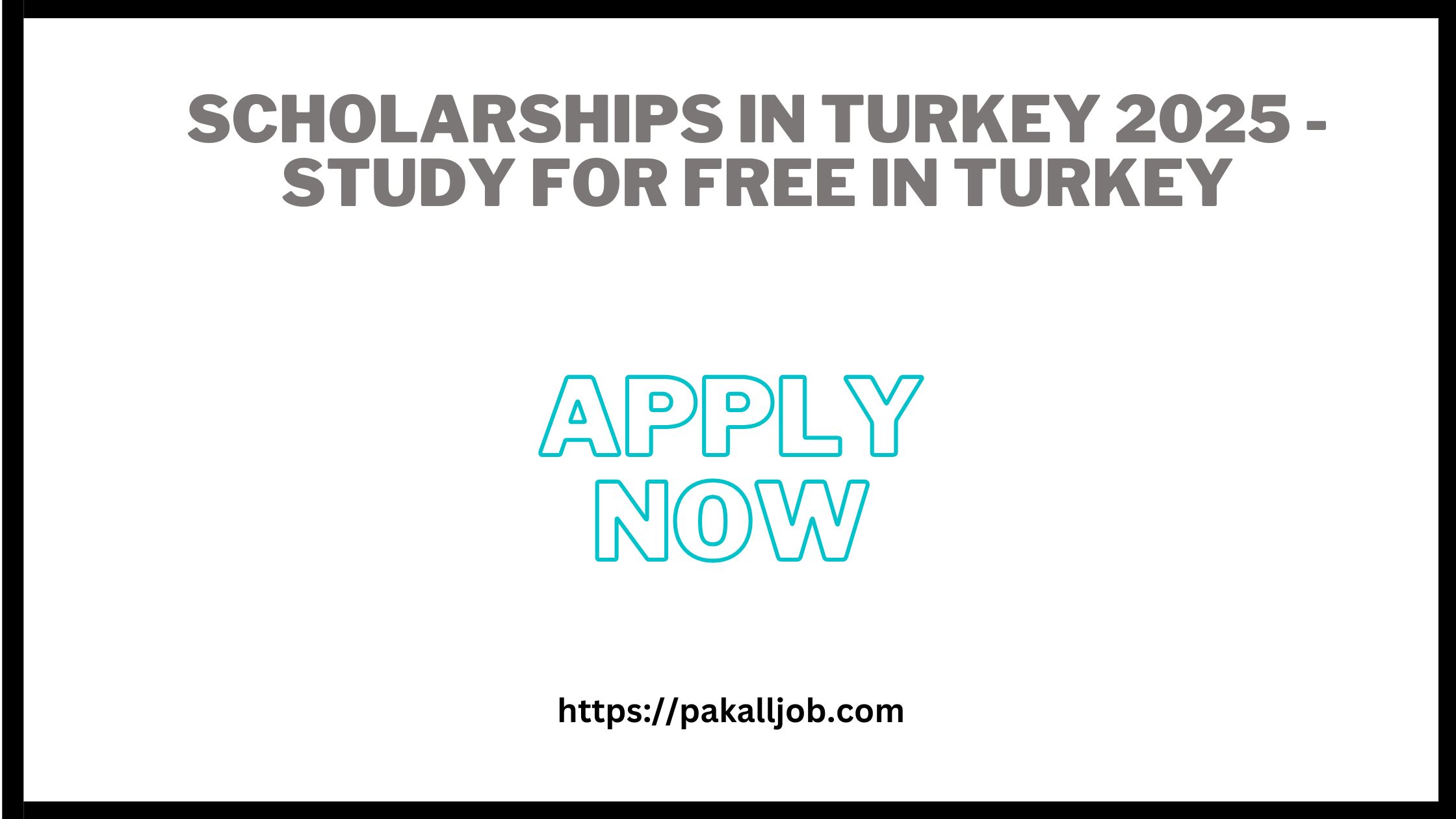 Scholarships In Turkey 2025 - Study For Free In Turkey