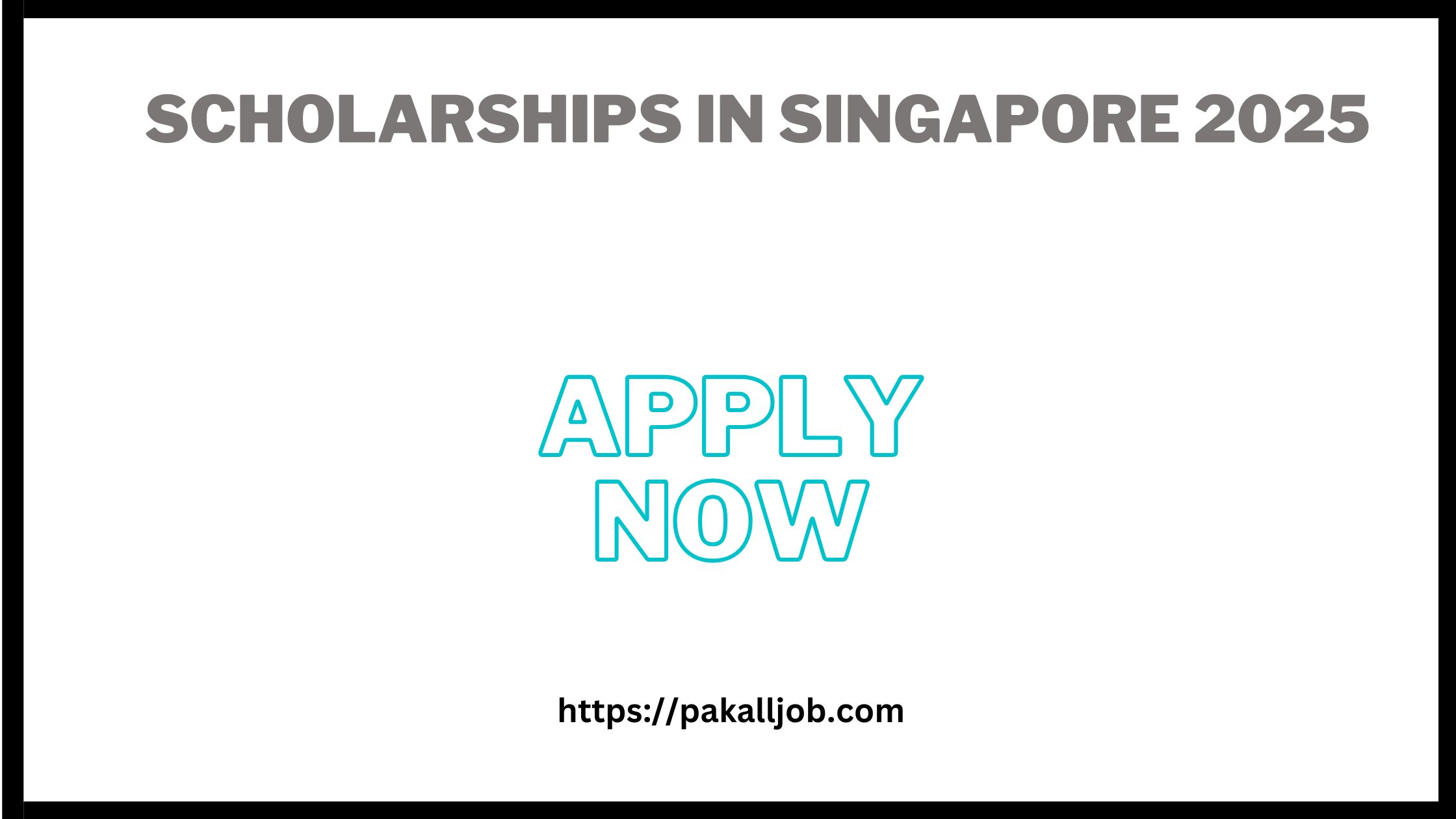 Scholarships In Singapore 2025