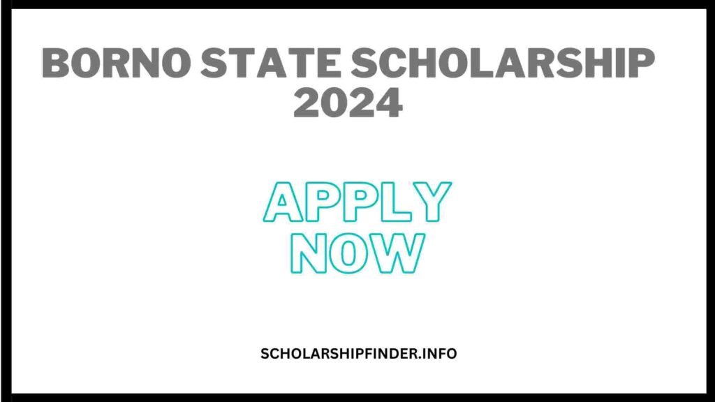 Borno State Scholarship 2024