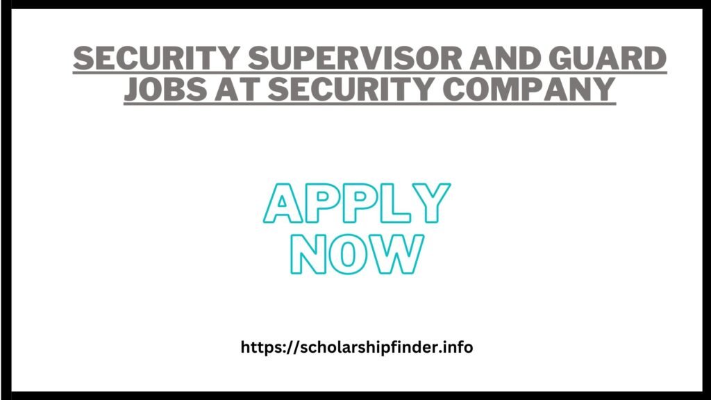 positions advertised in the daily Roznama 92 News dated 11 November 2024