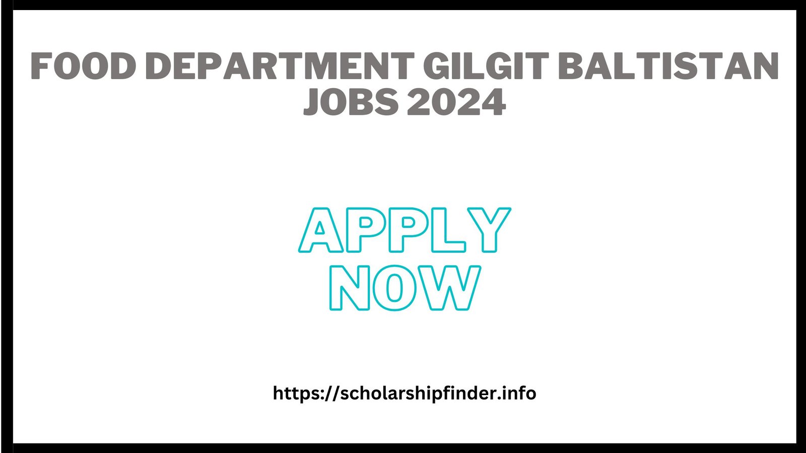 Food Department Gilgit Baltistan Jobs 2024